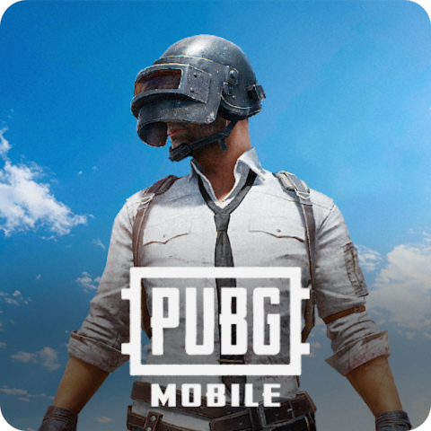 PUBGM-D